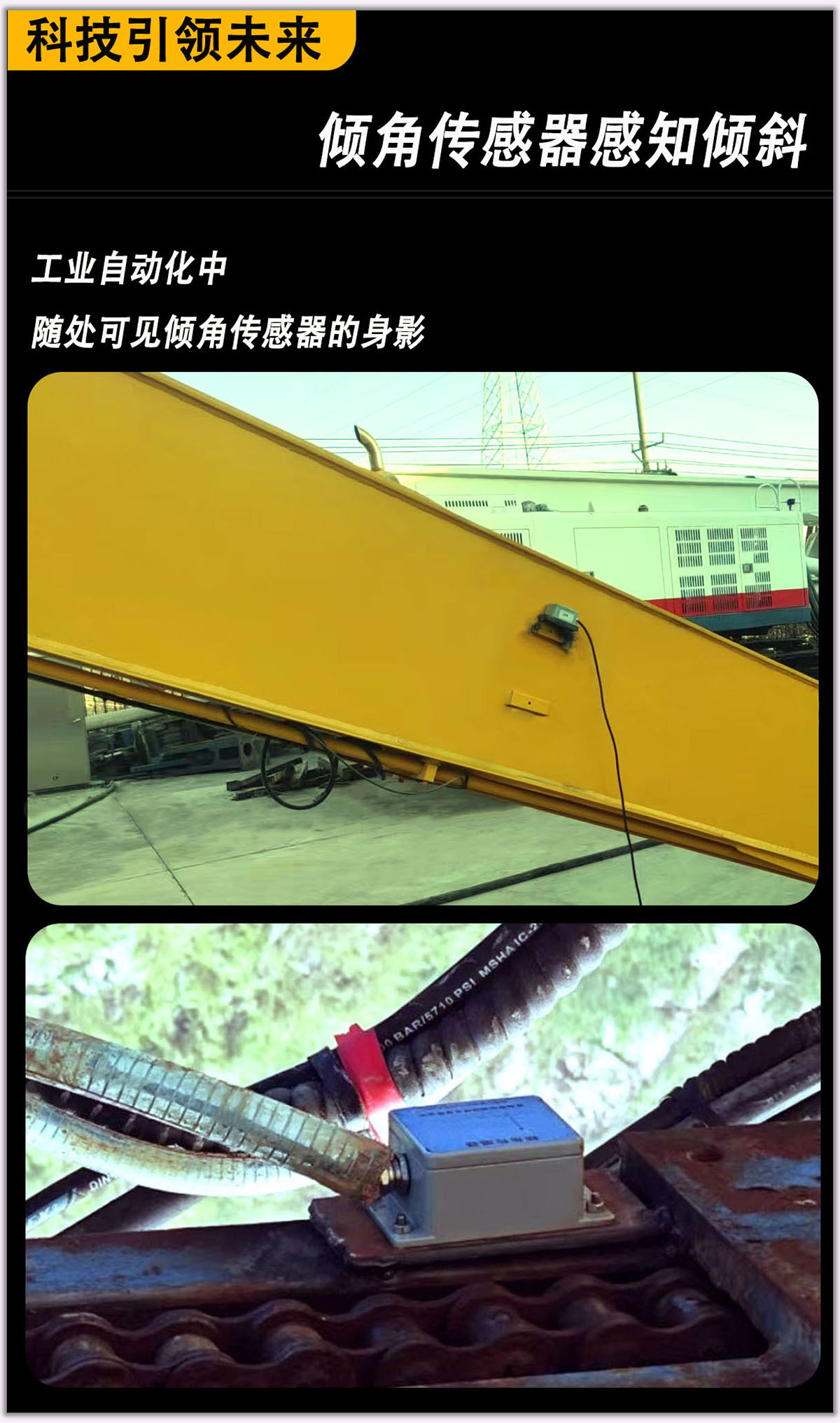 详情页总01.jpg